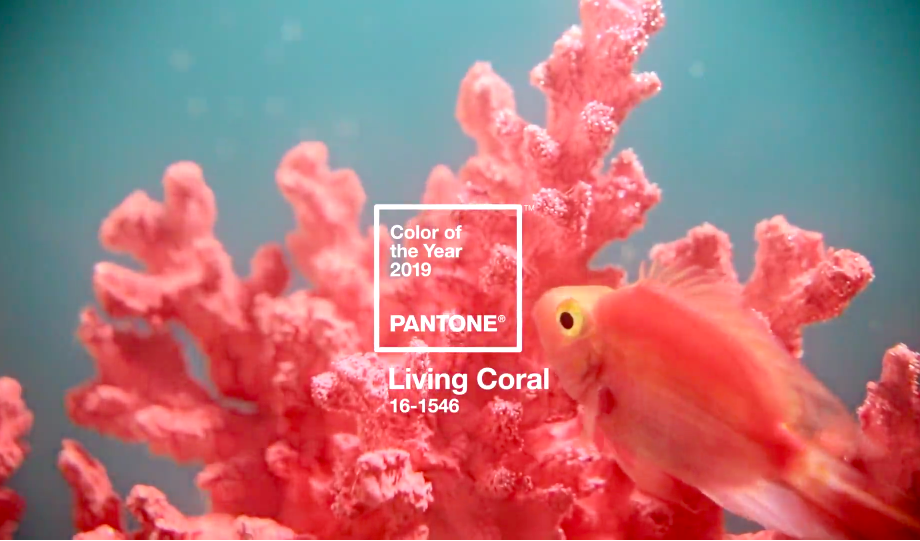 living coral