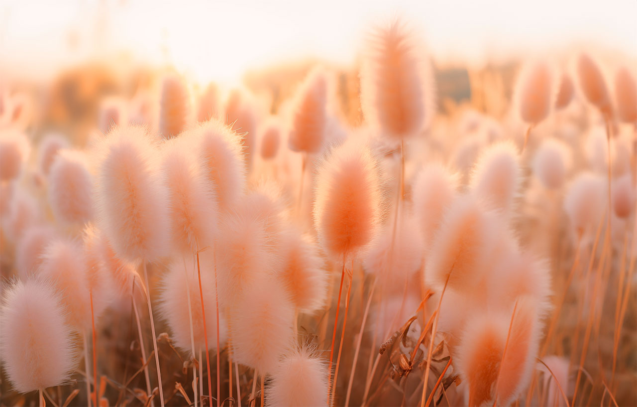 Foto: Pantone